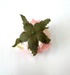 10cm Pink Artificial l Peony Flower Head Loose