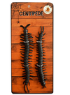 2PK 15CM Centipede