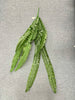 115 Long Hanging Dark Green Leaves Bunch