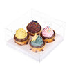 4 Holes Clear Cupcake Box